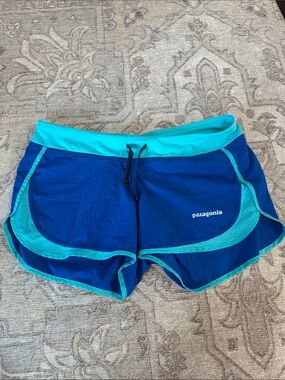 Patagonia Blue and Teal Women's Shorts